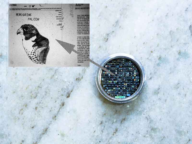 Archival Token